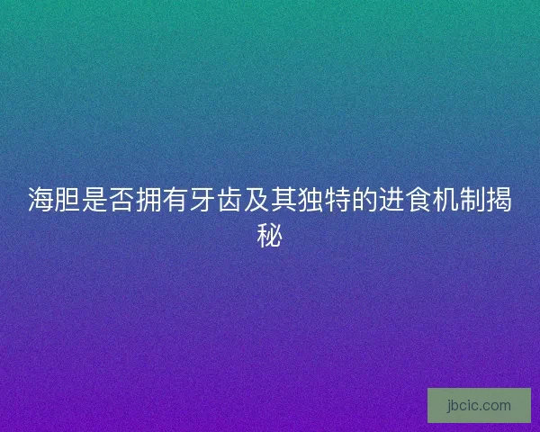 海胆是否拥有牙齿及其独特的进食机制揭秘